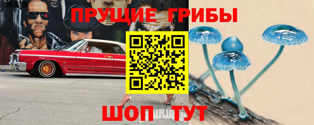 Галлюциногенные грибы Psilocybine cubensis  Вход с VPN  Кунгур  Галлюциногенные грибы прущие грибы 