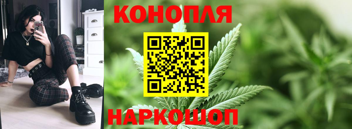 Кунгур  Бошки Шишки планчик  МАРИХУАНА марихуана  Вход с VPN 